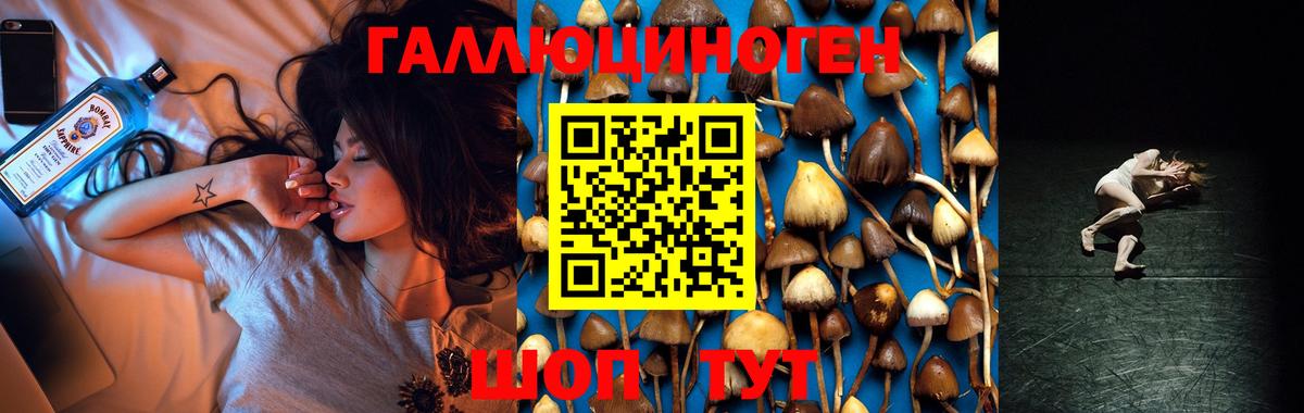 Псилоцибиновые грибы MAGIC MUSHROOMS  Галлюциногенные грибы прущие грибы  Касимов  Вход с VPN 